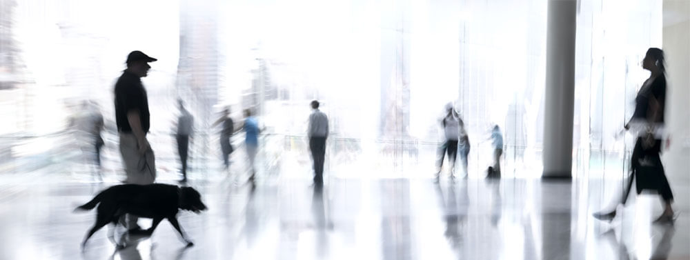 Universal Atlantic Systems adopted Webeye to cope with greater volumes of traffic