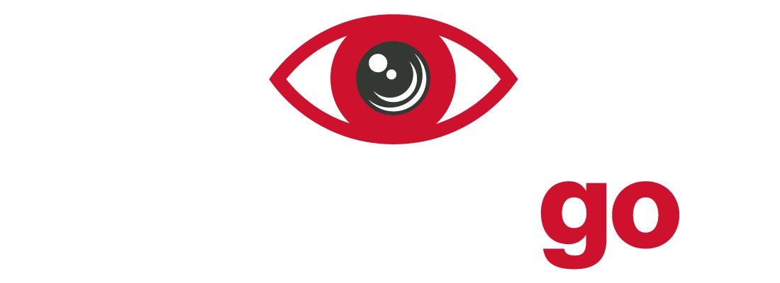 webeyeGO logo